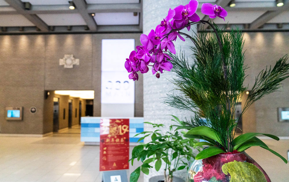 A Beautiful Orchid in a large lobby beside a Year of the Pig infographic