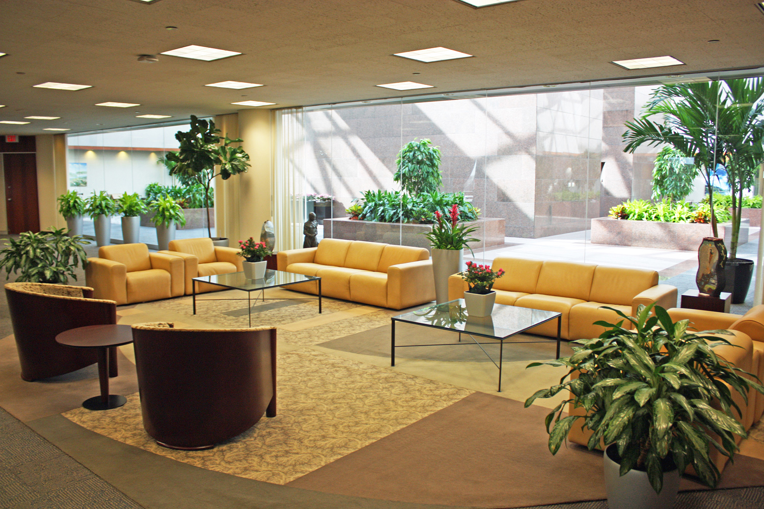 Commercial Indoor Plant Design & Installation Los Angeles