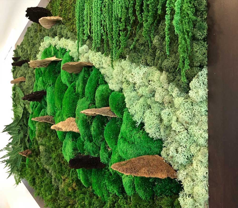 Moss Wall Projects - Air Strength Canada