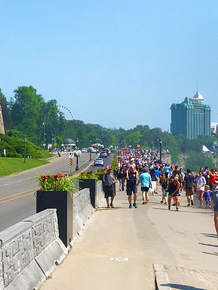 The bustling Niagara Parkway lined with large green plants in containers